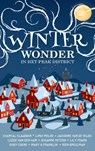Winterwonder in het Peak District - Chantal Claassen ; Jacodine Van de Velde ; Lindi Melse ; Lizzie Van den Ham - 9789493419087
