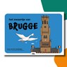 Het zwaantje van Brugge | kamishibai vertelplaten -  - 9789493472228