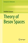 Theory of Besov Spaces - Yoshihiro Sawano - 9789811308352