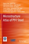 Microstructure Atlas of P91 Steel - Rajat K. Roy ; Anil K. Das ; Avijit Kumar Metya ; Avijit Mondal ; Ashis Kumar Panda ; M. Ghosh ; Satish Chand ; Sarmishtha Palit Sagar ; Swapan Kumar Das ; Amit Chhabra - 9789811995613