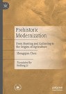 Prehistoric Modernization - Shengqian Chen - 9789819794225