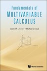 Fundamentals Of Multivariable Calculus - Leonid P (National Univ Of Colombia Lebedev ; Michael J (Lawrence Technological Univ Cloud - 9789819800018