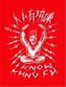 I KNOW KUNG FU - Rex Koo ; Victionary - 9789887462903