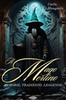 Il Mago Merlino - Carlo Haugwitz - 9791255931133