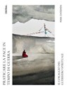 Praticare la pace in tempo di guerra - Pema Chōdrōn - 9791256470792