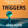 Triggers Lib/E: How We Can Stop Reacting and Start Healing -  - 9798200213849