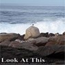 Look At This - Lee Anthony Reynolds - 9798201327194