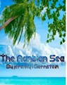 The Nanbian Sea - Jeremy I Bernstein - 9798215680681
