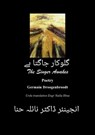 THE SINGER AWAKES گلوکار جاگتا ہے - Naila Hina ; نائلہ حنا ; Germain Droogenbroodt - 9798215747919