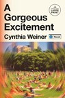 A Gorgeous Excitement - Cynthia Weiner - 9798217070442