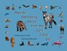 Absurdly Astonishing Advice from the Zany Zazzy Zoo - Diana Daigle - 9798218638924