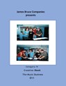 Music Business 011 - James Bruce - 9798223181330