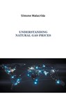 Understanding Natural Gas Prices - Simone Malacrida - 9798223237174