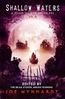 Shallow Waters Vol.4 - Richard Thomas ; Mark Allan Gunnells ; Dani Brown ; Chloé Harper Gold ; Michael Patrick Hicks ; Linda J. Marshall ; Red Lagoe ; Shoshana Edwards ; Kevin Lucia ; Jonah Buck ; Patrick Barb ; David Bernard ; Ben Lathrop ; Lori Michelle ; Austin James ; David - 9798223625834