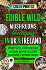 Edible Wild Mushrooms Foraging in UK & Ireland - Lomasi Ahusaka - 9798224055302