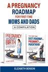 A Pregnancy Roadmap for First-Time Moms and Dads - Elizabeth Benson - 9798224439683