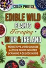 Edible Wild Plants Foraging in UK & Ireland - Lomasi Ahusaka - 9798224755660