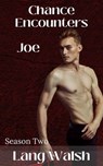 Chance Encounters: Season Two - Joe - Lang Walsh - 9798227854537