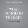 What Echoes in the Dark -  - 9798228634817