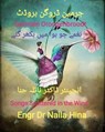 Songs Scattered in the Wind: نغمے جو ہوا میں بکھر گئے - Germain Droogenbroodt ; Naila Hina ; نائلہ حنا - 9798231538294