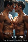 In deinen Armen: 3 Gay Romance in einem Band - Jonas Kerber - 9798231604647