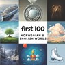 First 100 Norwegian & English Words - Aisling Heidary - 9798305703580