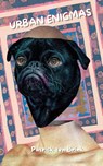 Urban Enigmas - Patrick Ten Brink - 9798319921499