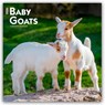 Baby Goats - Ziegenbabys 2026 - 16-Monatskalender -  - 9798330702268