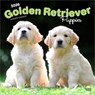 Golden Retriever Puppies - Golden Retriever Welpen 2026 - 16-Monatskalender -  - 9798330703463
