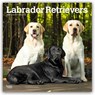 Labrador Retrievers - Labrador Retriever 2026 - 16-Monatskalender -  - 9798330704224