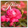 Roses - Rosen 2026 - 16-Monatskalender -  - 9798330705382
