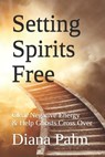 Setting Spirits Free: Clear Negative Energy & Help Ghosts Cross Over - Diana Palm - 9798341156647