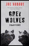 The Grey Wolves: Fractions - E. T. Ivester - 9798355051754