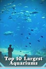 Largest Aquariums in the World - ROBERTS,  Jason - 9798373134088