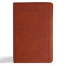 Holy Bible - Csb Bibles by Holman - 9798384523628