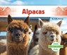 Alpacas - Julie Murray - 9798384905219