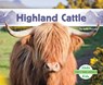 Highland Cattle - Julie Murray - 9798384905233