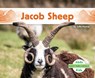 Jacob Sheep - Julie Murray - 9798384905240