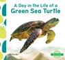 Day in the Life of a Green Sea Turtle - Julie Murray - 9798384907299