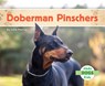 Doberman Pinschers - Julie Murray - 9798384907510