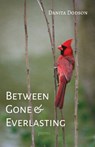 Between Gone and Everlasting - Danita Dodson - 9798385213092