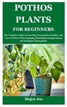 Pothos Plants for Beginners - Major Joe - 9798538628346