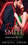 Try as I Smite - Abigail Owen - 9798550189061