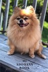 My Address Book: Pomeranian - Address Book for Names, Addresses, Phone Numbers, E-mails and Birthdays - BOOKS,  Me - 9798606139590