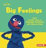 Big Feelings: Learn Healthy Ways to Manage Emotions with Sesame Street (R) - Whitney Sanderson - 9798765662410