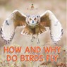 How and Why Do Birds Fly - Baby - 9798869453211