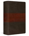 ESV Large Print Personal Size Bible, Red Letter - Esv Bibles - 9798874906450