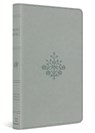 ESV Large Print Value Thinline Bible - Esv Bibles - 9798874907754