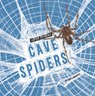 Cave Spiders - Lisa J. Amstutz - 9798875224508