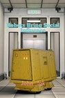 Robots Bring Social Influence - John Lok - 9798885555388